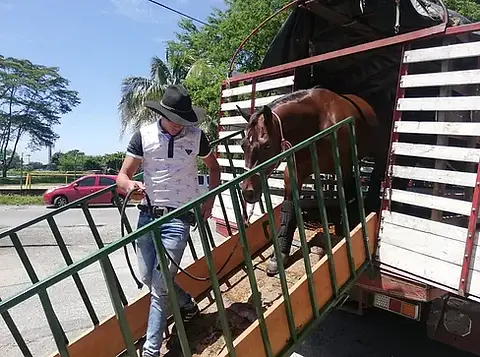 Cabalgata marco del 51°Torneo Internacional del joropo 2019