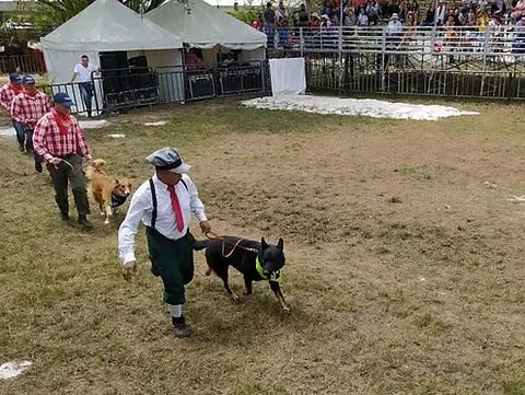 Show Panaca Viajero 2020