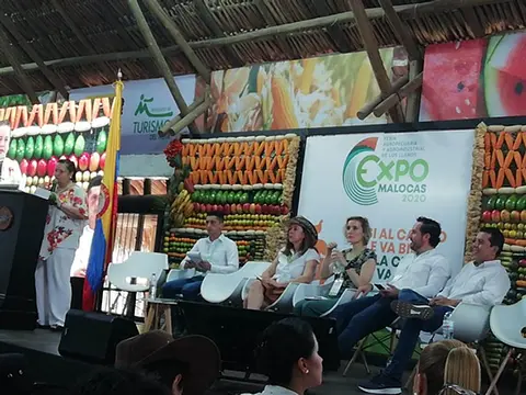 Expoacademico 2020