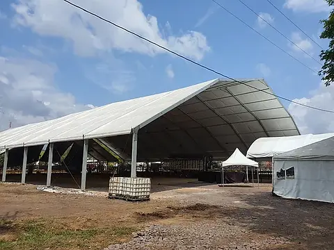 Escenario de Exposición Equina 2020